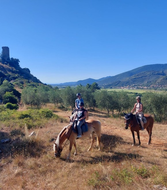 Giornata Country - pasti sul fuoco, ranch di campagna ed escursioni a cavallo
